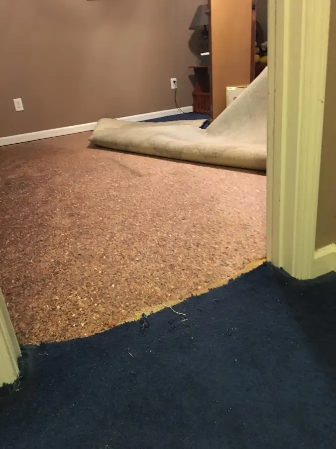 Carpet pad removal revealing water damage during Water Mitigation Services in Woodbridge
